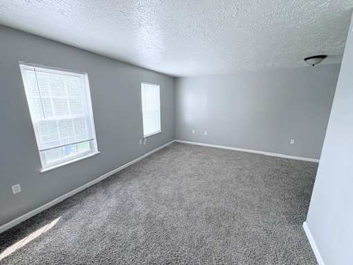 A room with grey carpet and two windows.