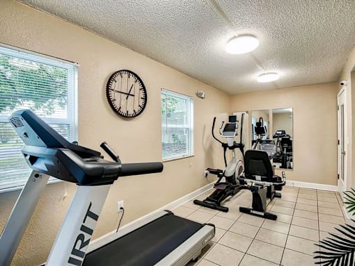 A home gym with a treadmill, exercise bike, and mirror.