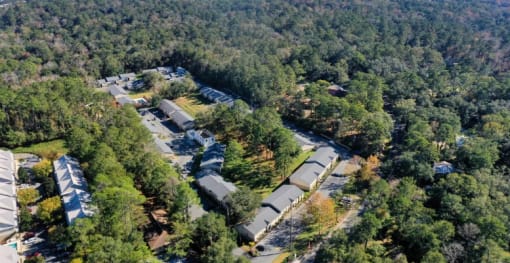 Overview