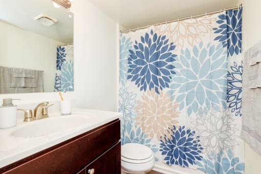 a bathroom with a sink and a shower and a toilet