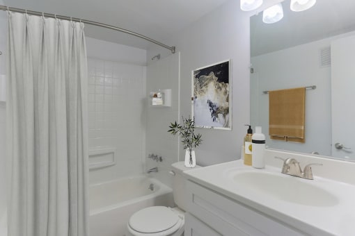a bathroom with a sink toilet and a bath tub