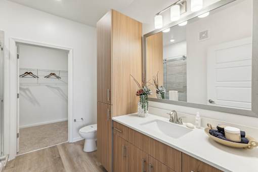 Modern bathroom with ample storage, large vanity, and luxury vinyl plank flooring at Tapestry Headwaters in Kissimmee, FL