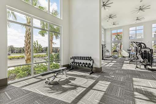 free weights at Tapestry Headwaters Apartments in Kissimmee, FL