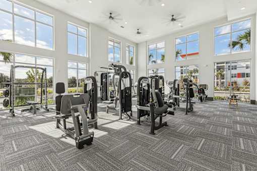 the gym at the Tapestry Headwaters Apartments in Kissimmee, FL