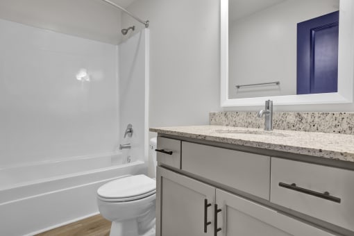 a bathroom with a sink and a toilet and a bath tub