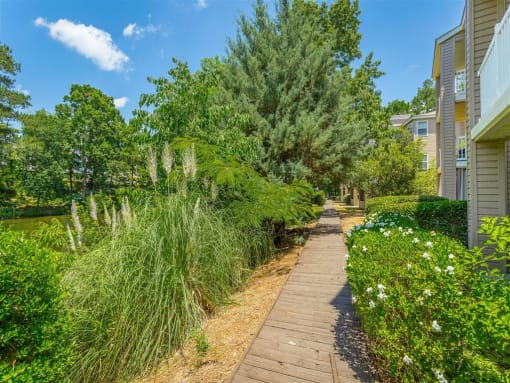 a walkway through a garden with trees and plants