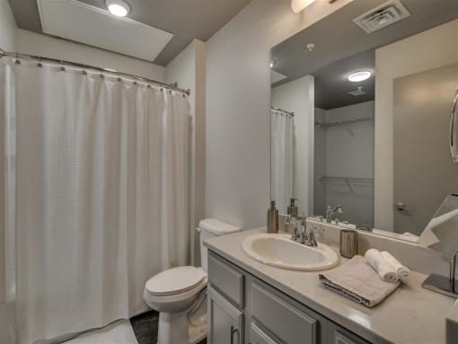 Luxurious Bathroom at The Tower Apartments, Tuscaloosa, AL, 35401