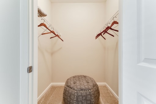 Large Closet Space at Austin Place Apartments