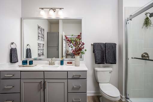 A bathroom with a white toilet and a mirror above the sink.