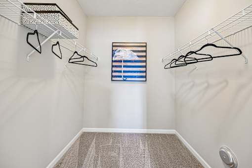 A walk-in closet with a window and a carpeted floor.