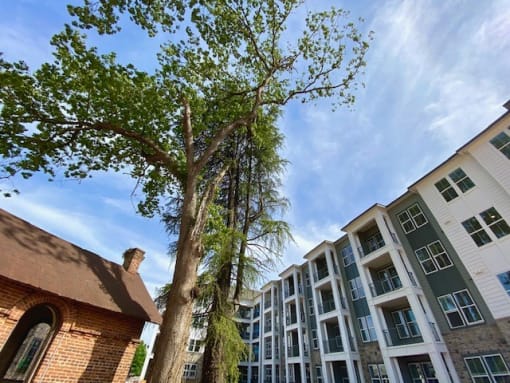 Exterior of Bon Haven apartment complex with townhome and garden style floor plans for rent in Spartanburg