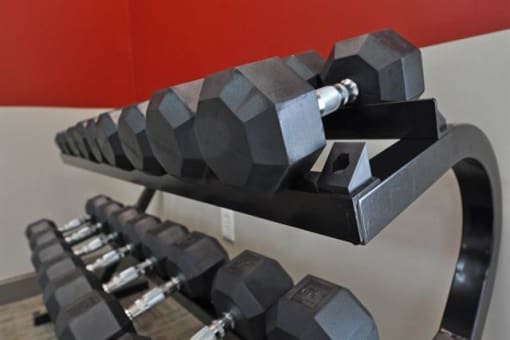 Free Weights at The Metropolitan, Lexington, Kentucky
