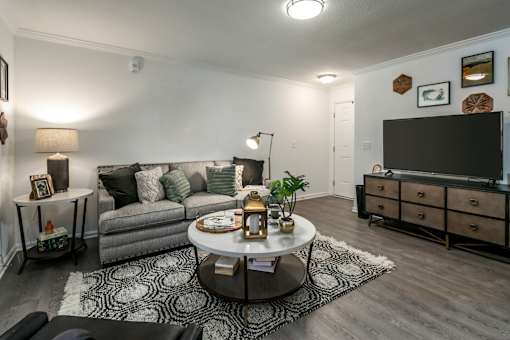 A living room with a grey couch, a coffee table, and a television.