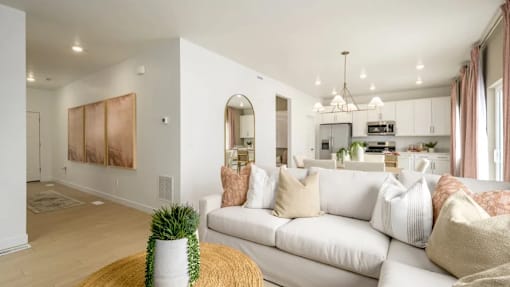 A living room with a white couch and a potted plant on a yellow rug.
