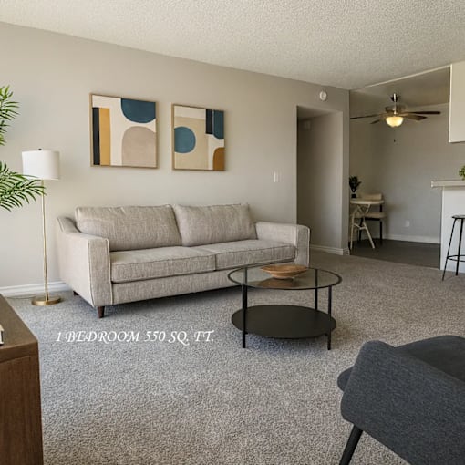 A living room with a grey couch and a coffee table.
