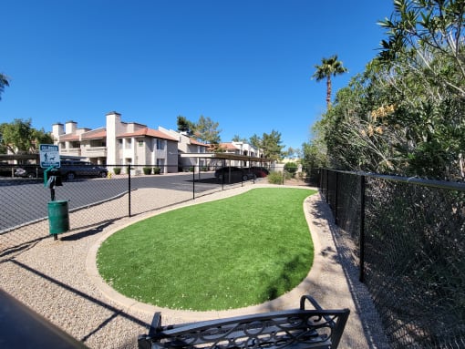 Dog Park