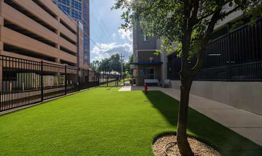 A tree is in a small garden in front of a building.