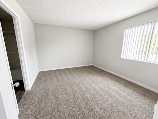 A room with a carpeted floor and a window with blinds.