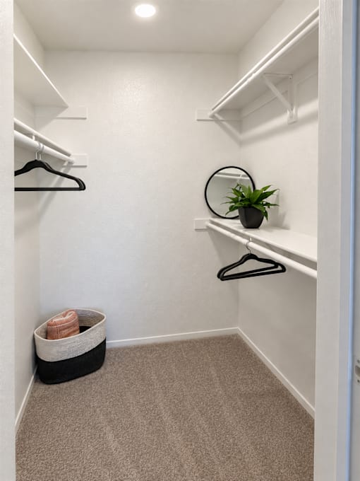 Walk-in closet with carpet and wire shelving at Gentrys Walk Apartments, Arizona