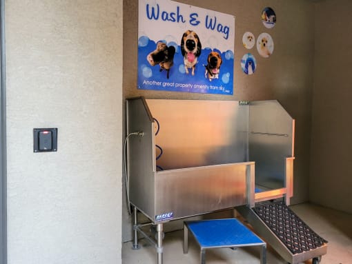 Dog Wash at Sky at P83, Arizona