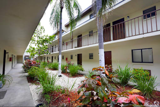 Building Courtyard