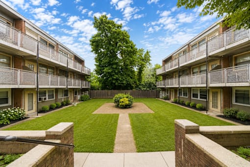 A courtyard with a lawn and a tree in the middle of it.