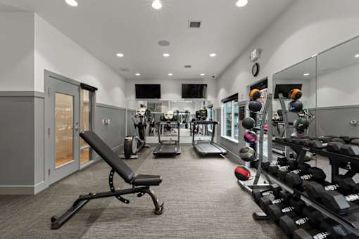 A gym with a variety of equipment including weights and a bench.