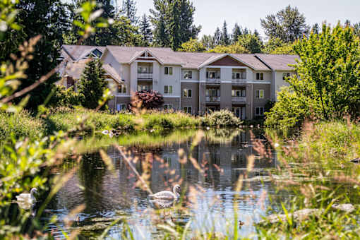 A large building is situated by a body of water with swans swimming in it.
