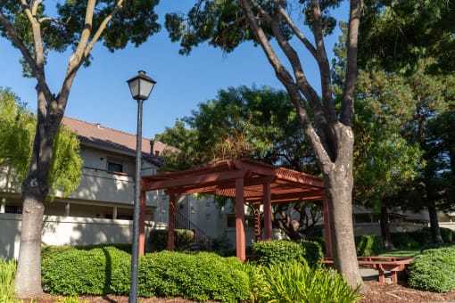 a wooden pergola with a picnic table in front of a house at Cowell Terrace Apartments, California