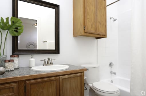 a bathroom with a sink and a mirror and a toilet