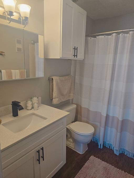 a bathroom with a sink and a toilet and a shower