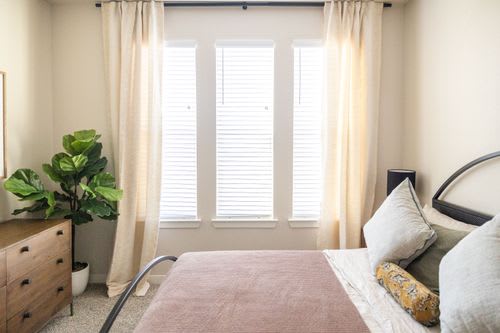 A bedroom with a bed, a dresser, and a plant.