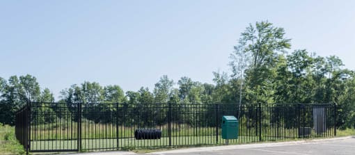 Dog park