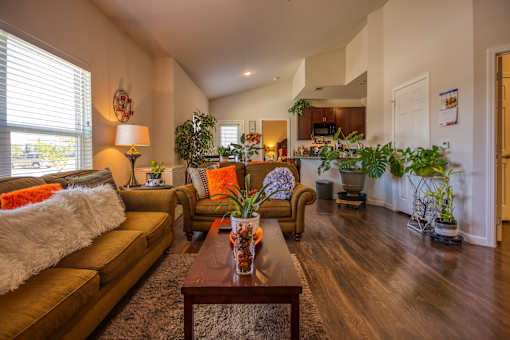 A living room with a brown sofa and a wooden coffee table.