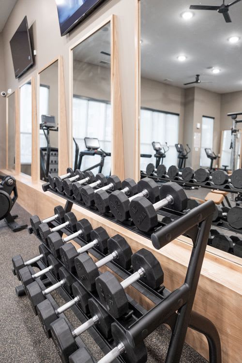 A gym with a mirror, weights, and exercise equipment. at Enclave on Ross Apartments, Del Valle
