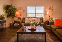A living room with a couch, a table, and a potted plant.