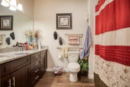 A bathroom with a toilet, sink, and a flag hanging on the wall.