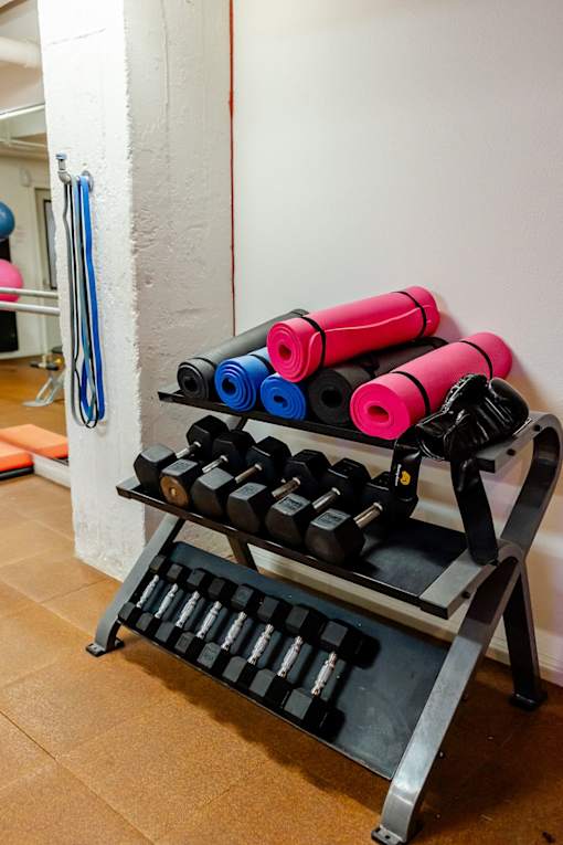 A set of pink and blue dumbbells are on a rack in a gym.