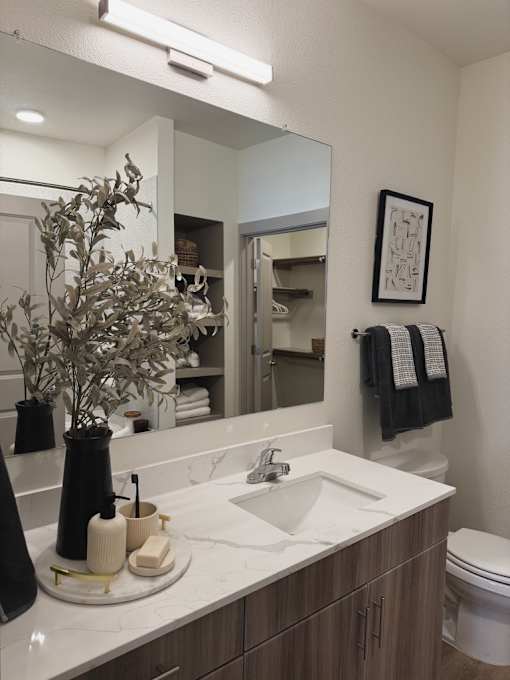 Bathroom Sink at Tapestry Centerpoint, San Marcos, 78666