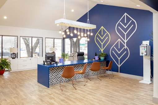 A blue reception desk with a patterned chair and a plant on the side.
