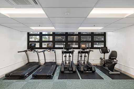 A row of treadmills and elliptical machines in a gym.
