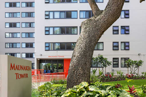 A tree in front of a Maunakea Tower building.