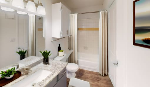 a bathroom with a sink and a toilet and a shower