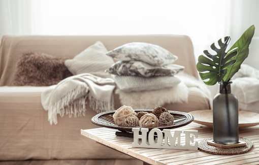 A cozy living room with a couch, a coffee table, and a plant.