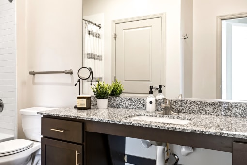 a bathroom with a toilet sink and mirror