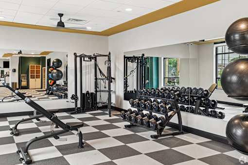 A gym with a variety of equipment including weights and a squat rack.