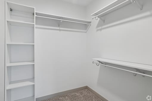 A white closet with shelves and a carpeted floor.