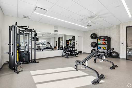 A spacious gym with a variety of equipment including a squat rack, a bench press, and a rowing machine.
