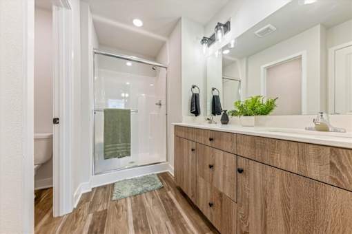 A bathroom with a walk-in shower and a large mirror.