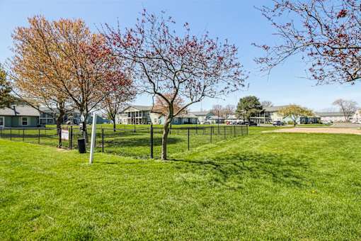 A grassy field with trees and a fence in the background.